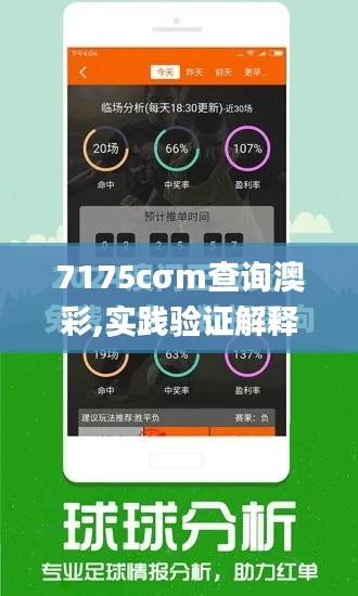 7175cσm查詢澳彩,實踐驗證解釋定義_W6.991