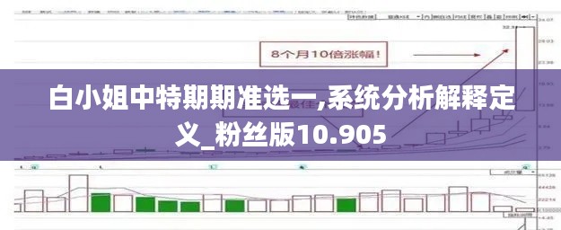 白小姐中特期期準選一,系統分析解釋定義_粉絲版10.905