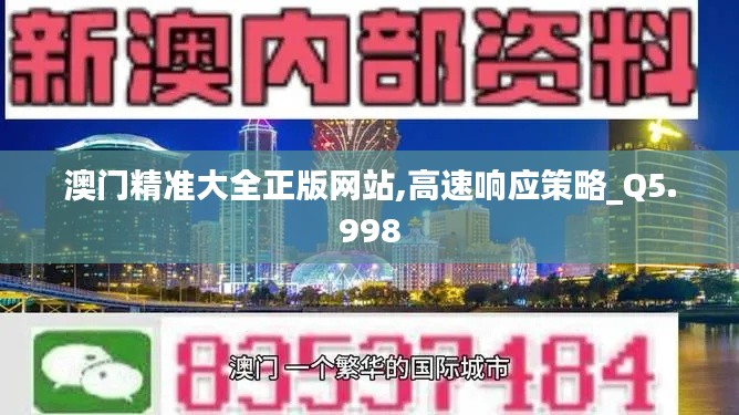 澳門精準大全正版網站,高速響應策略_Q5.998