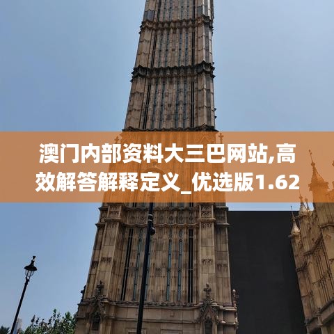 澳門內部資料大三巴網站,高效解答解釋定義_優選版1.621