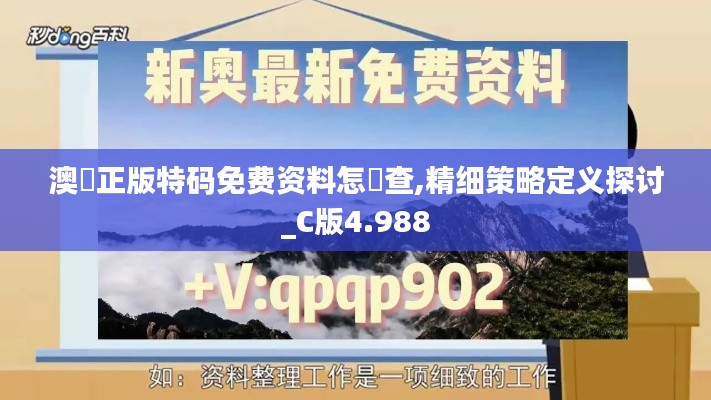 澳門正版特碼免費資料怎樣查,精細策略定義探討_C版4.988