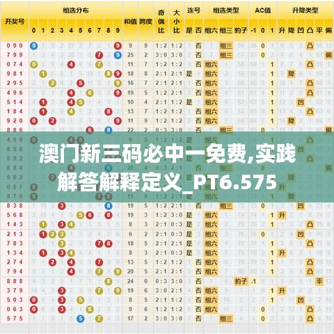 澳門新三碼必中一免費(fèi),實(shí)踐解答解釋定義_PT6.575