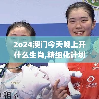 2o24澳門今天晚上開什么生肖,精細(xì)化計劃設(shè)計_Kindle4.312