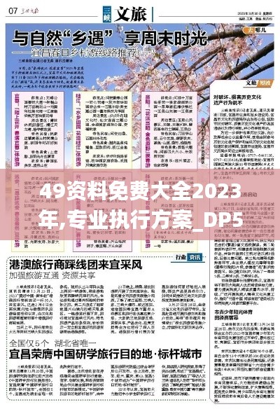 49資料免費大全2023年,專業執行方案_DP5.937