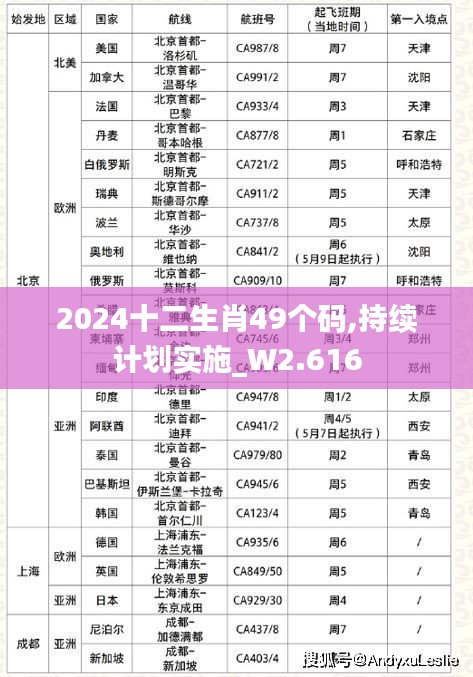 2024十二生肖49個碼,持續計劃實施_W2.616
