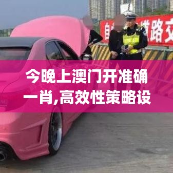 今晚上澳門開準確一肖,高效性策略設計_投資版9.148