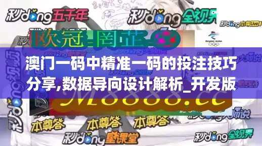 澳門一碼中精準一碼的投注技巧分享,數據導向設計解析_開發版16.503