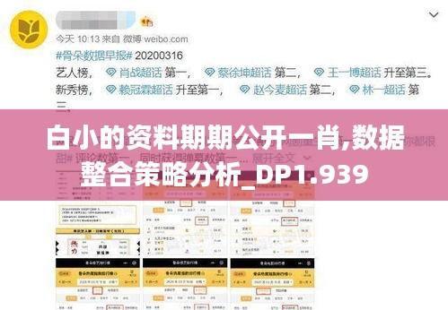 白小的資料期期公開一肖,數據整合策略分析_DP1.939