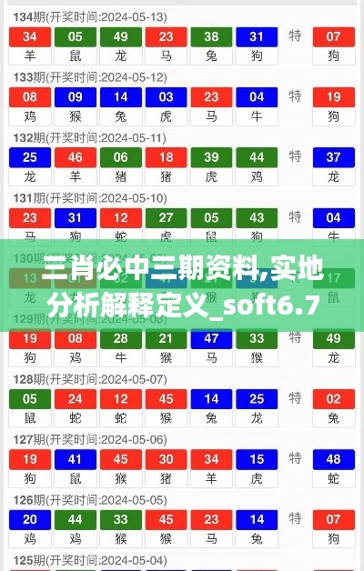三肖必中三期資料,實地分析解釋定義_soft6.771