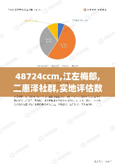 48724ccm,江左梅郎,二惠澤社群,實(shí)地評估數(shù)據(jù)策略_nShop7.533