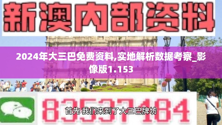 2024年大三巴免費資料,實地解析數據考察_影像版1.153