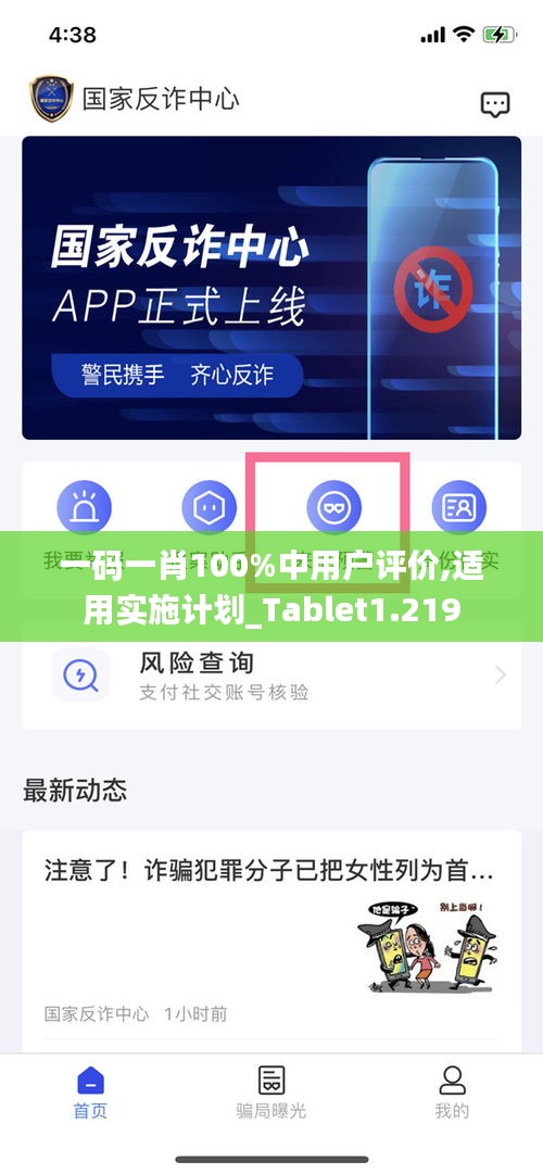 一碼一肖100%中用戶評價,適用實施計劃_Tablet1.219