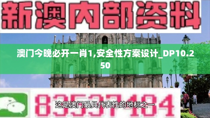 澳門今晚必開一肖1,安全性方案設計_DP10.250