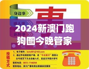 2024新澳門跑狗圖今晚管家婆,定性評估解析_開發(fā)版5.570