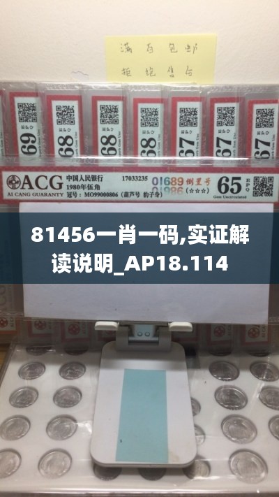 81456一肖一碼,實證解讀說明_AP18.114