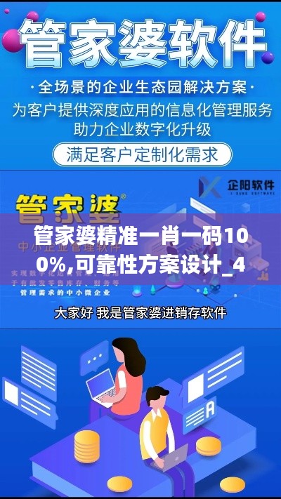 管家婆精準一肖一碼100%,可靠性方案設計_4DM8.938