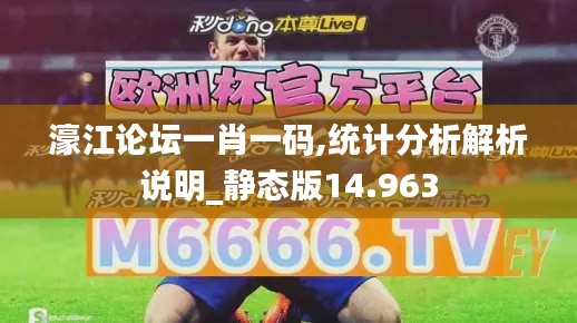 濠江論壇一肖一碼,統計分析解析說明_靜態版14.963