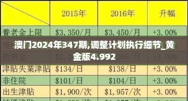 澳門2024年347期,調(diào)整計(jì)劃執(zhí)行細(xì)節(jié)_黃金版4.992