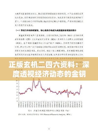正版玄機二四六資料：深度透視經濟動態的金鑰匙