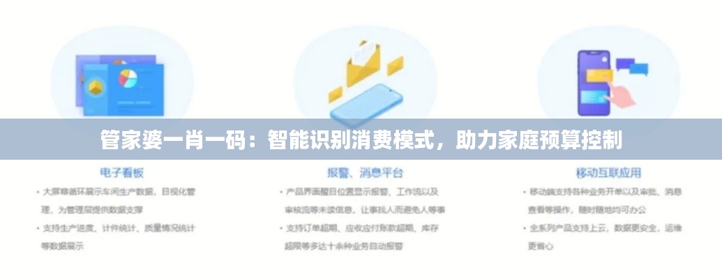 管家婆一肖一碼：智能識別消費模式，助力家庭預算控制