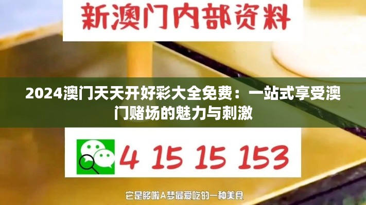 2024澳門天天開好彩大全免費：一站式享受澳門賭場的魅力與刺激