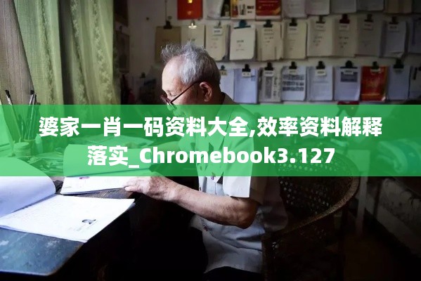 婆家一肖一碼資料大全,效率資料解釋落實_Chromebook3.127