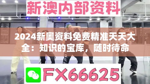 2024新奧資料免費精準(zhǔn)天天大全：知識的寶庫，隨時待命