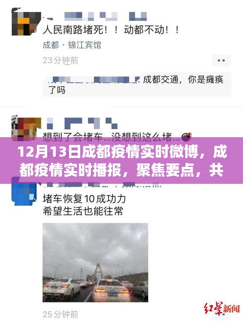 聚焦要點，成都疫情實時播報，共抗疫情之路