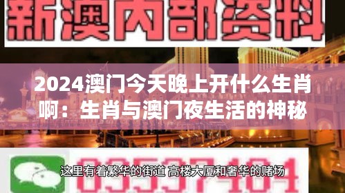 2024澳門今天晚上開什么生肖啊：生肖與澳門夜生活的神秘聯系