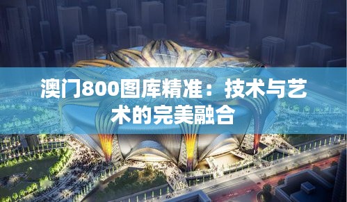 澳門800圖庫精準：技術與藝術的完美融合
