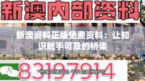 新澳資料正版免費資料：讓知識觸手可及的橋梁