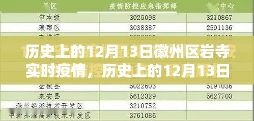 歷史上的12月13日徽州區巖寺實時疫情深度分析與概況