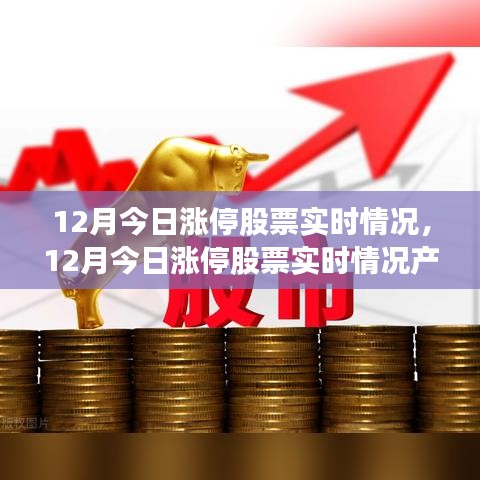 12月今日漲停股票實時情況深度解析與產品評測