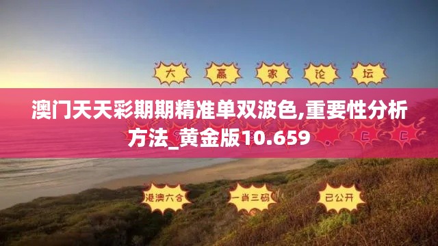 澳門天天彩期期精準單雙波色,重要性分析方法_黃金版10.659