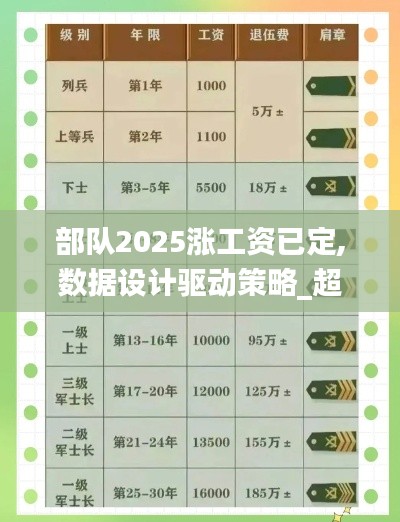 部隊2025漲工資已定,數據設計驅動策略_超值版17.210