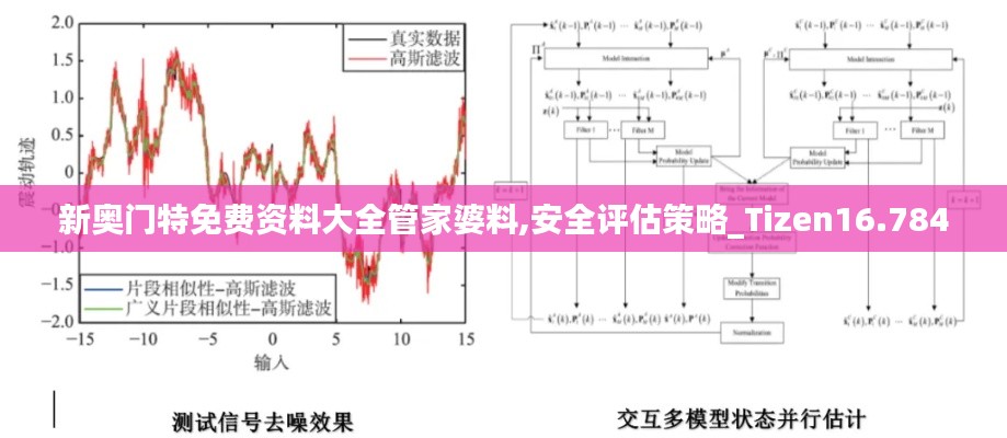 新奧門特免費資料大全管家婆料,安全評估策略_Tizen16.784