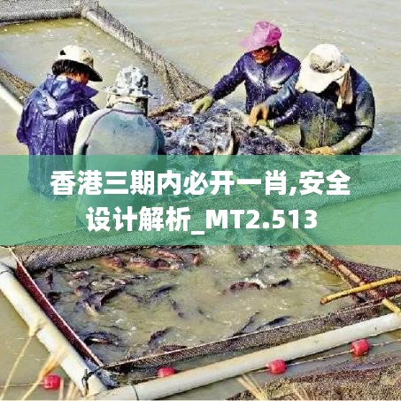 香港三期內必開一肖,安全設計解析_MT2.513