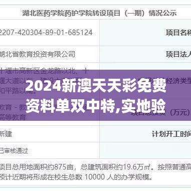 2024新澳天天彩免費資料單雙中特,實地驗證分析數據_QHD6.875