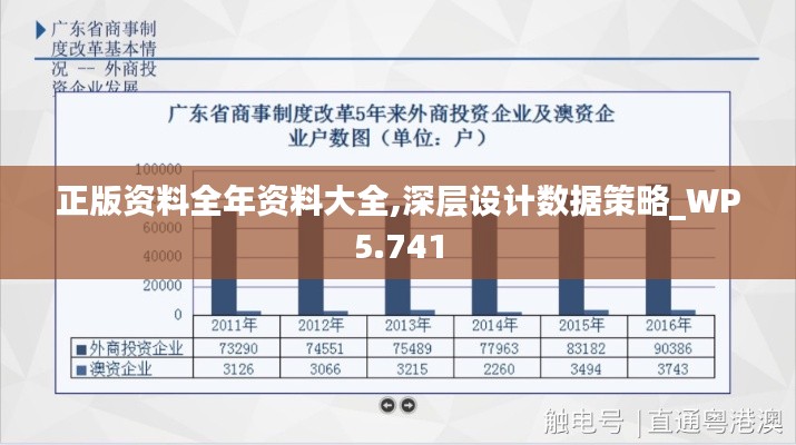 正版資料全年資料大全,深層設(shè)計數(shù)據(jù)策略_WP5.741