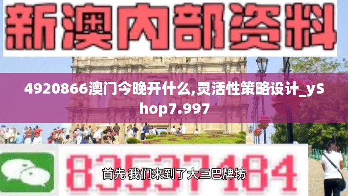 4920866澳門今晚開什么,靈活性策略設計_yShop7.997