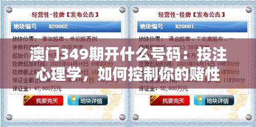 澳門349期開什么號碼：投注心理學，如何控制你的賭性