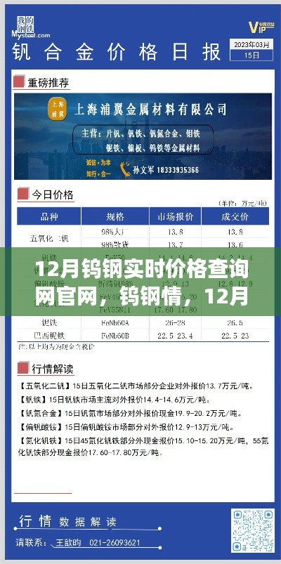 12月鎢鋼實時價格官網，友情與溫暖交織的鎢鋼情價格之旅