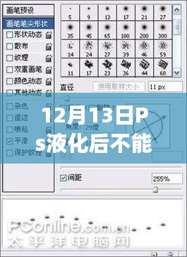解決指南，Photoshop液化功能無法實時顯示問題，針對12月13日的問題解析