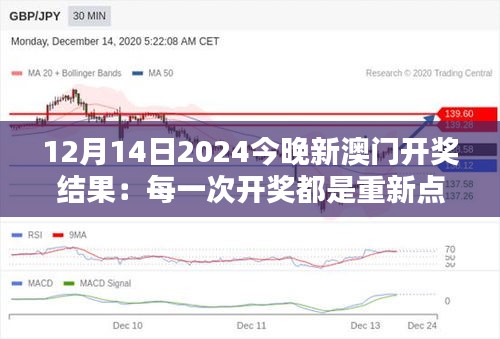 12月14日2024今晚新澳門開獎結果：每一次開獎都是重新點燃希望的過程。