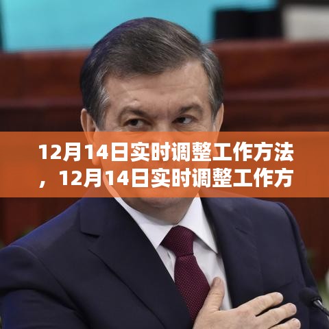 詳細(xì)步驟指南，如何在十二月十四日實(shí)時(shí)調(diào)整工作方法？
