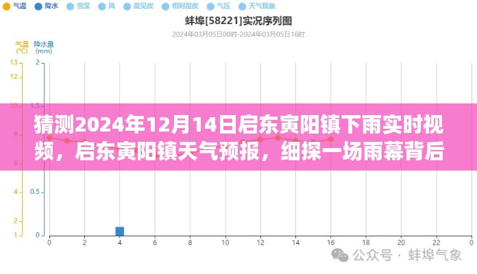 啟東寅陽鎮(zhèn)雨幕背后的故事，天氣預(yù)報與實時視頻探索（2024年12月14日）