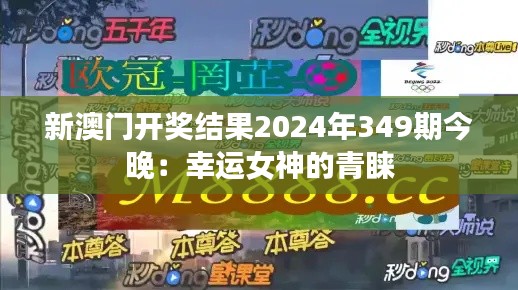 新澳門開獎結果2024年349期今晚：幸運女神的青睞