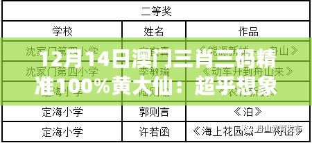 12月14日澳門三肖三碼精準100%黃大仙：超乎想象的中獎體驗