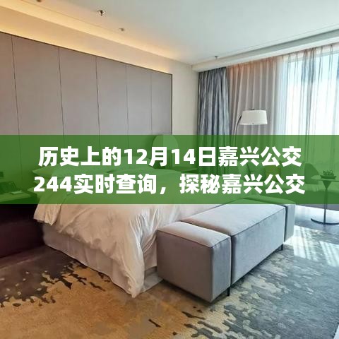 探秘嘉興公交244，歷史實時查詢與美食寶藏之旅