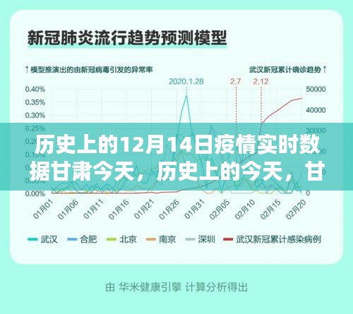 甘肅十二月十四日疫情實時數據深度解析及歷史背景探究